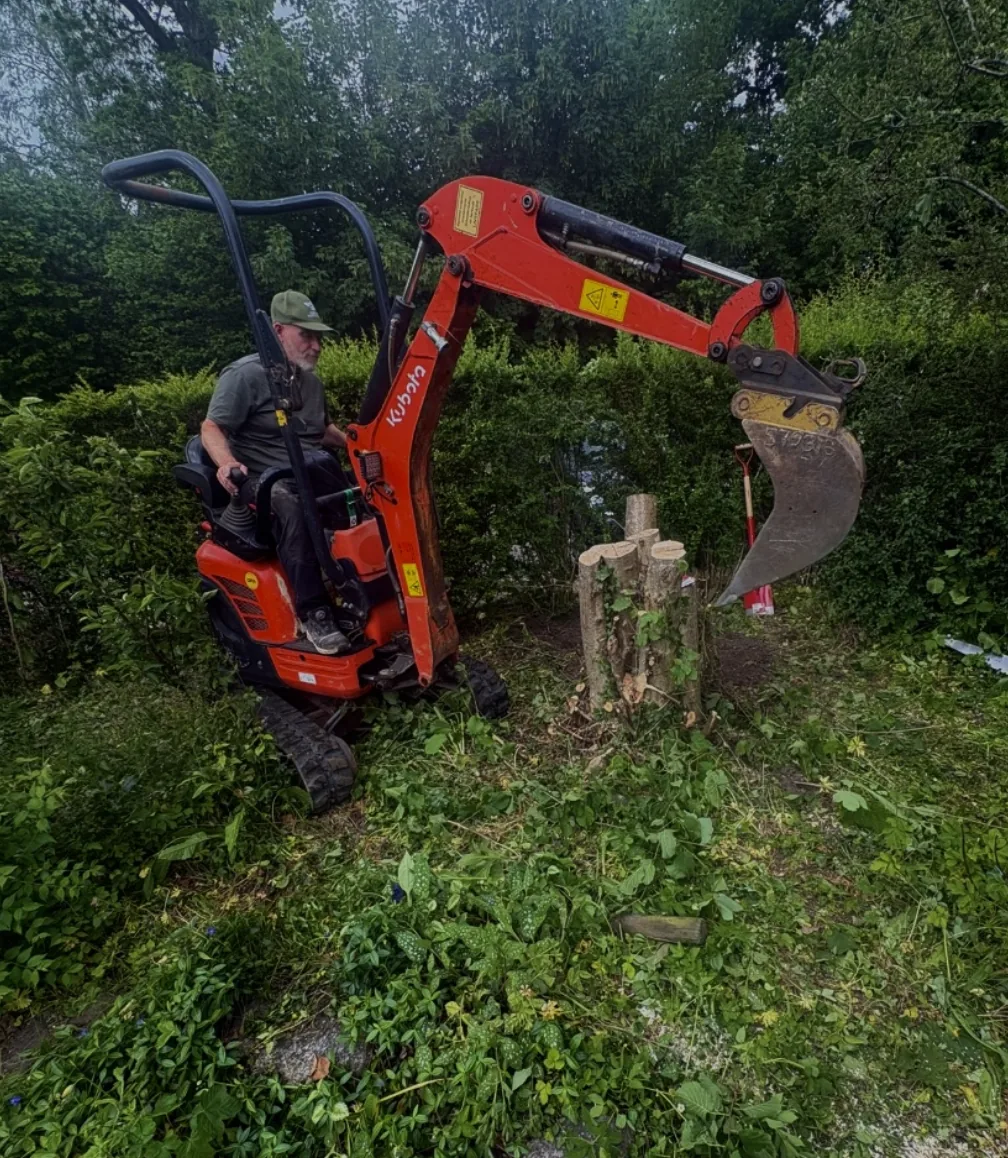 Stubfræsning & Træfældning